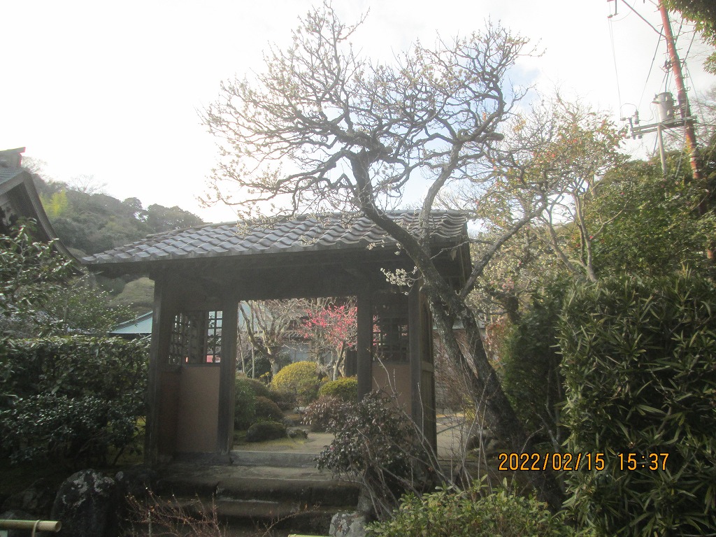 ���~�ƍg�~